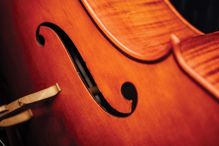 Παραβάν με ψηφιακή εκτύπωση σε βαμβακερό καμβά υψηλής ποιότητας, ειδικό για ψηφιακή εκτύπωση. Ιδανικό για διακόσμηση και σαν διαχωριστικό εσωτερικών χώρων.