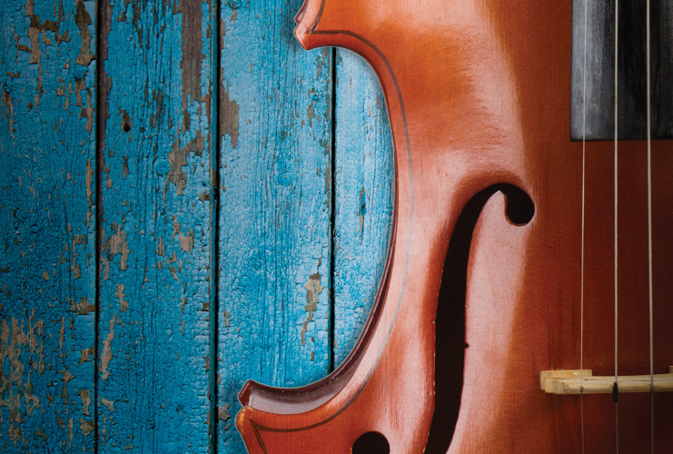 Παραβάν με ψηφιακή εκτύπωση σε βαμβακερό καμβά υψηλής ποιότητας, ειδικό για ψηφιακή εκτύπωση. Ιδανικό για διακόσμηση και σαν διαχωριστικό εσωτερικών χώρων.