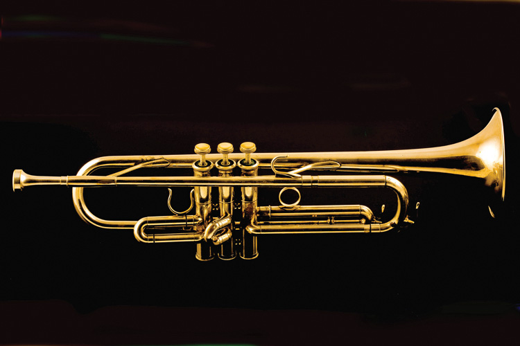 Παραβάν με ψηφιακή εκτύπωση σε βαμβακερό καμβά υψηλής ποιότητας, ειδικό για ψηφιακή εκτύπωση. Ιδανικό για διακόσμηση και σαν διαχωριστικό εσωτερικών χώρων.