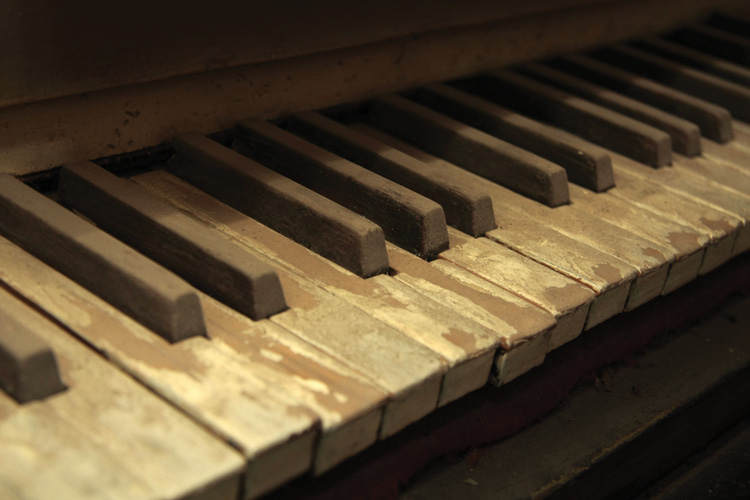 Παραβάν με ψηφιακή εκτύπωση σε βαμβακερό καμβά υψηλής ποιότητας, ειδικό για ψηφιακή εκτύπωση. Ιδανικό για διακόσμηση και σαν διαχωριστικό εσωτερικών χώρων.