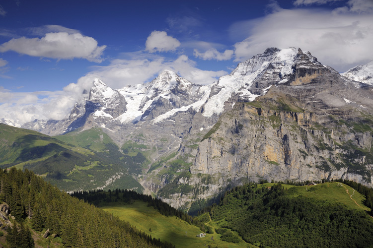 Παραβάν με ψηφιακή εκτύπωση σε βαμβακερό καμβά υψηλής ποιότητας, ειδικό για ψηφιακή εκτύπωση. Ιδανικό για διακόσμηση και σαν διαχωριστικό εσωτερικών χώρων.