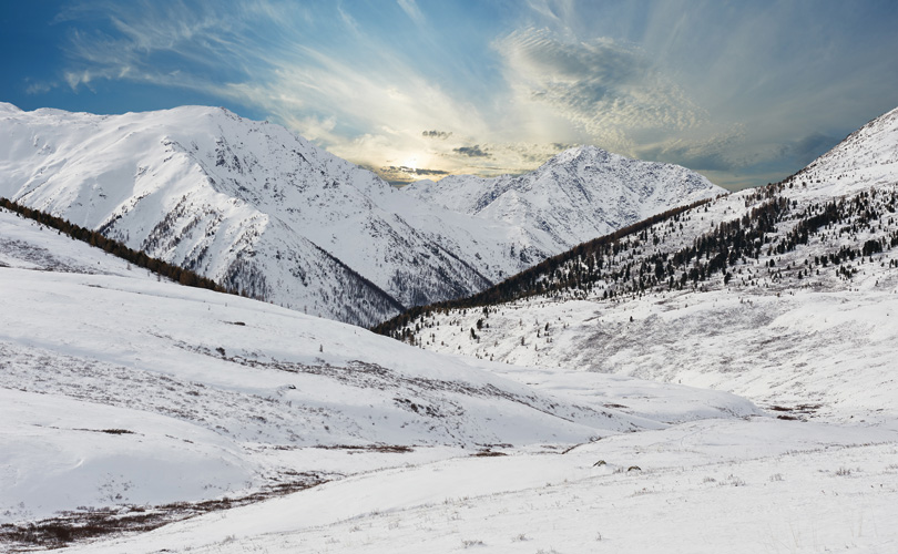 Παραβάν με ψηφιακή εκτύπωση σε βαμβακερό καμβά υψηλής ποιότητας, ειδικό για ψηφιακή εκτύπωση. Ιδανικό για διακόσμηση και σαν διαχωριστικό εσωτερικών χώρων.