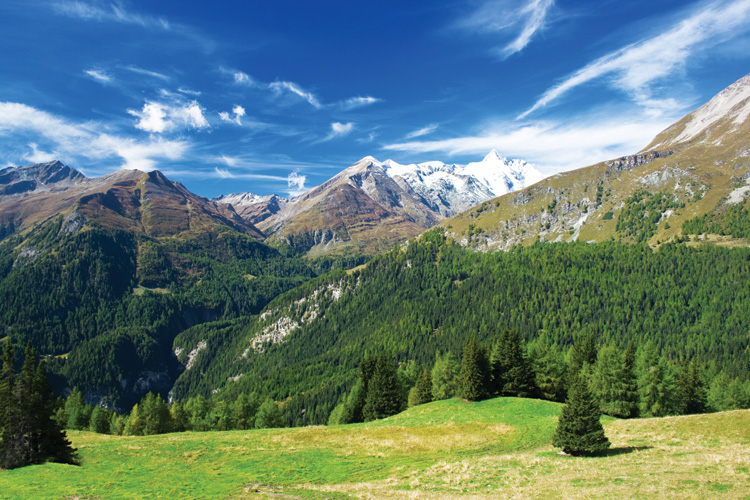 Παραβάν με ψηφιακή εκτύπωση σε βαμβακερό καμβά υψηλής ποιότητας, ειδικό για ψηφιακή εκτύπωση. Ιδανικό για διακόσμηση και σαν διαχωριστικό εσωτερικών χώρων.