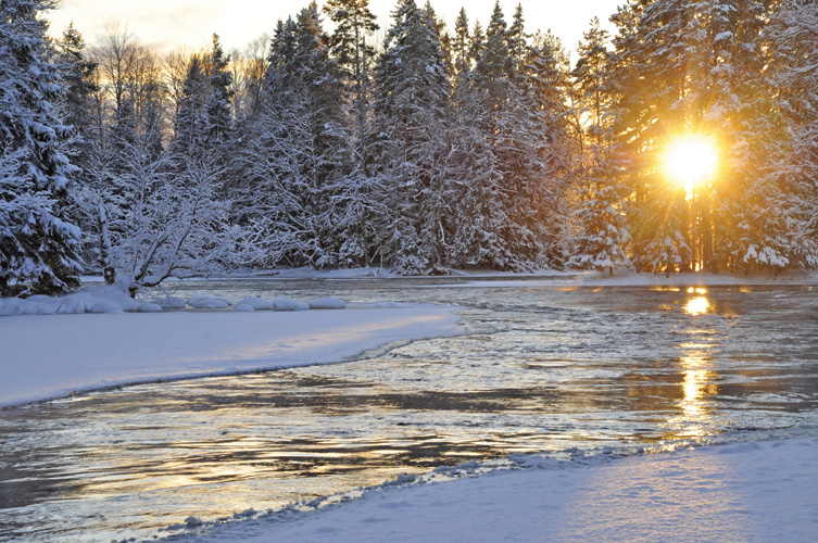 Παραβάν με ψηφιακή εκτύπωση σε βαμβακερό καμβά υψηλής ποιότητας, ειδικό για ψηφιακή εκτύπωση. Ιδανικό για διακόσμηση και σαν διαχωριστικό εσωτερικών χώρων.