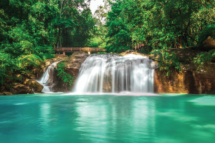 Παραβάν με ψηφιακή εκτύπωση σε βαμβακερό καμβά υψηλής ποιότητας, ειδικό για ψηφιακή εκτύπωση. Ιδανικό για διακόσμηση και σαν διαχωριστικό εσωτερικών χώρων.
