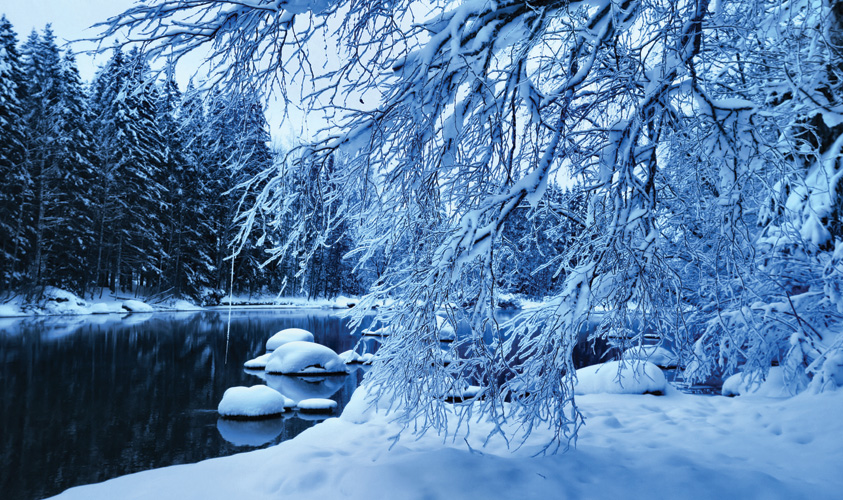 Παραβάν με ψηφιακή εκτύπωση σε βαμβακερό καμβά υψηλής ποιότητας, ειδικό για ψηφιακή εκτύπωση. Ιδανικό για διακόσμηση και σαν διαχωριστικό εσωτερικών χώρων.