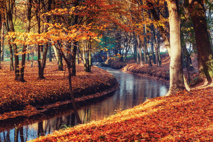 Παραβάν με ψηφιακή εκτύπωση σε βαμβακερό καμβά υψηλής ποιότητας, ειδικό για ψηφιακή εκτύπωση. Ιδανικό για διακόσμηση και σαν διαχωριστικό εσωτερικών χώρων.