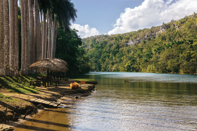 Παραβάν με ψηφιακή εκτύπωση σε βαμβακερό καμβά υψηλής ποιότητας, ειδικό για ψηφιακή εκτύπωση. Ιδανικό για διακόσμηση και σαν διαχωριστικό εσωτερικών χώρων.