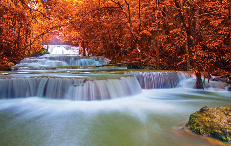 Παραβάν με ψηφιακή εκτύπωση σε βαμβακερό καμβά υψηλής ποιότητας, ειδικό για ψηφιακή εκτύπωση. Ιδανικό για διακόσμηση και σαν διαχωριστικό εσωτερικών χώρων.