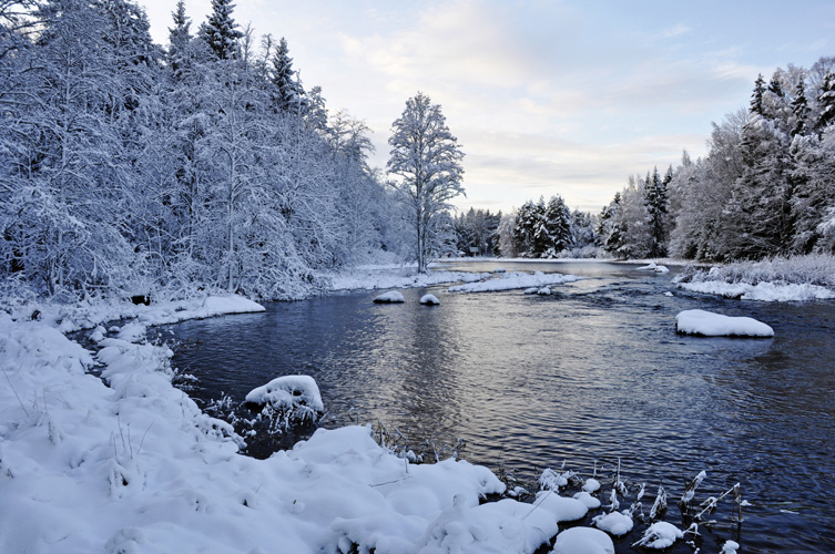 Παραβάν με ψηφιακή εκτύπωση σε βαμβακερό καμβά υψηλής ποιότητας, ειδικό για ψηφιακή εκτύπωση. Ιδανικό για διακόσμηση και σαν διαχωριστικό εσωτερικών χώρων.