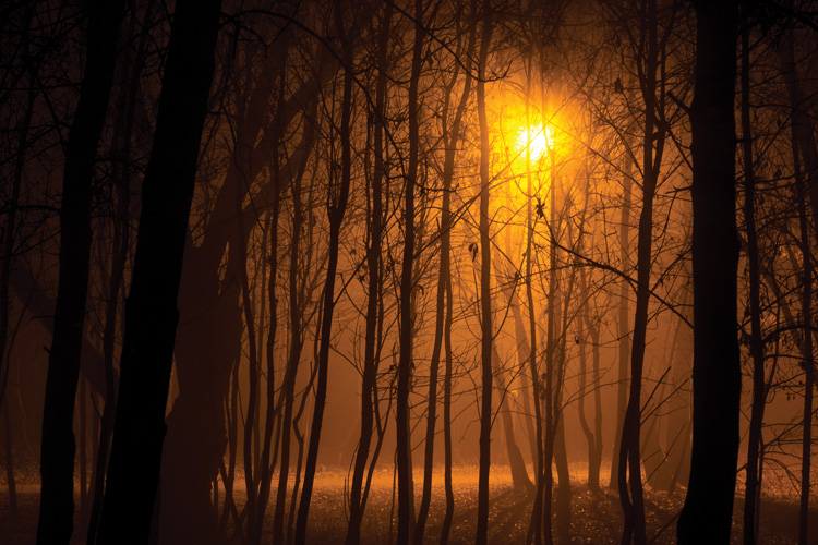 Παραβάν με ψηφιακή εκτύπωση σε βαμβακερό καμβά υψηλής ποιότητας, ειδικό για ψηφιακή εκτύπωση. Ιδανικό για διακόσμηση και σαν διαχωριστικό εσωτερικών χώρων.