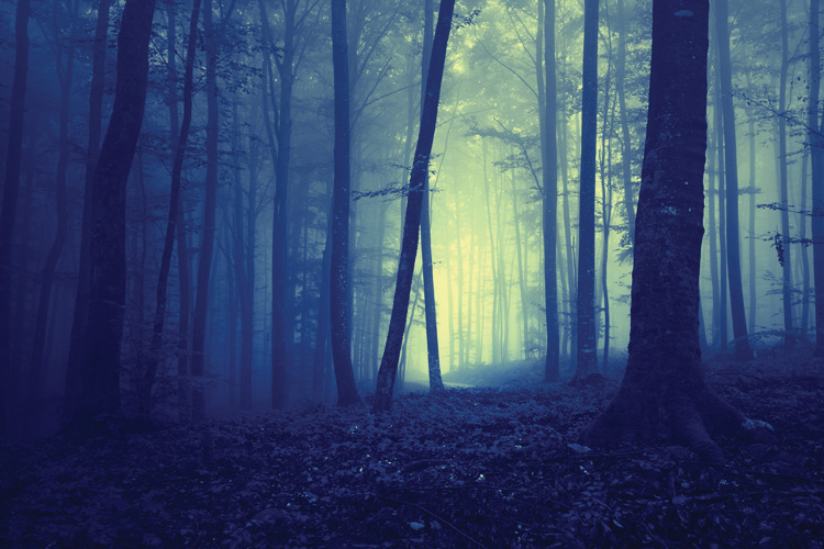 Παραβάν με ψηφιακή εκτύπωση σε βαμβακερό καμβά υψηλής ποιότητας, ειδικό για ψηφιακή εκτύπωση. Ιδανικό για διακόσμηση και σαν διαχωριστικό εσωτερικών χώρων.