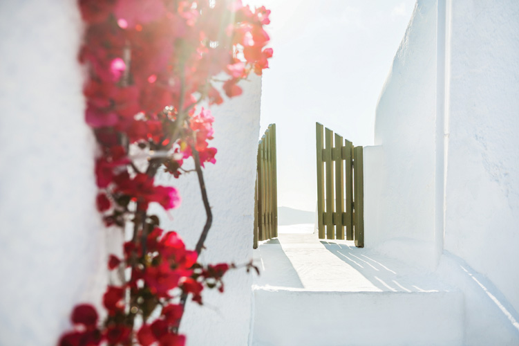 Παραβάν με ψηφιακή εκτύπωση σε βαμβακερό καμβά υψηλής ποιότητας, ειδικό για ψηφιακή εκτύπωση. Ιδανικό για διακόσμηση και σαν διαχωριστικό εσωτερικών χώρων.