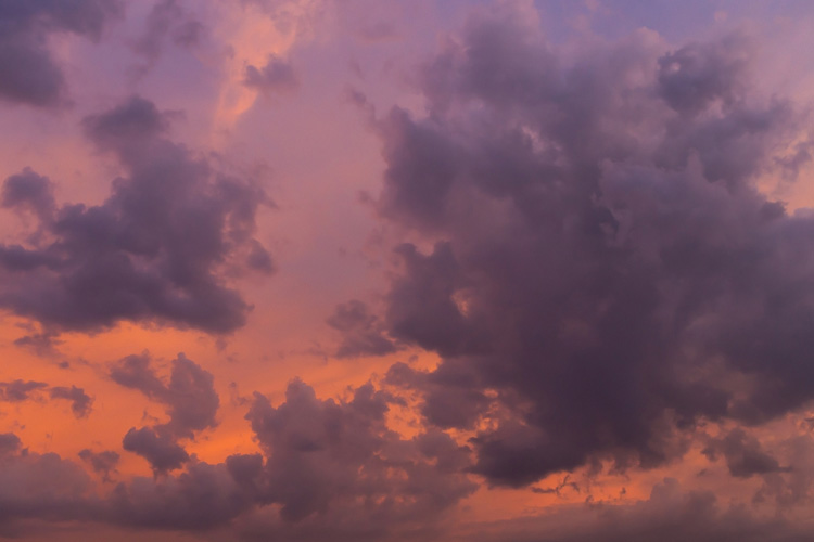 Παραβάν με ψηφιακή εκτύπωση σε βαμβακερό καμβά υψηλής ποιότητας, ειδικό για ψηφιακή εκτύπωση. Ιδανικό για διακόσμηση και σαν διαχωριστικό εσωτερικών χώρων.