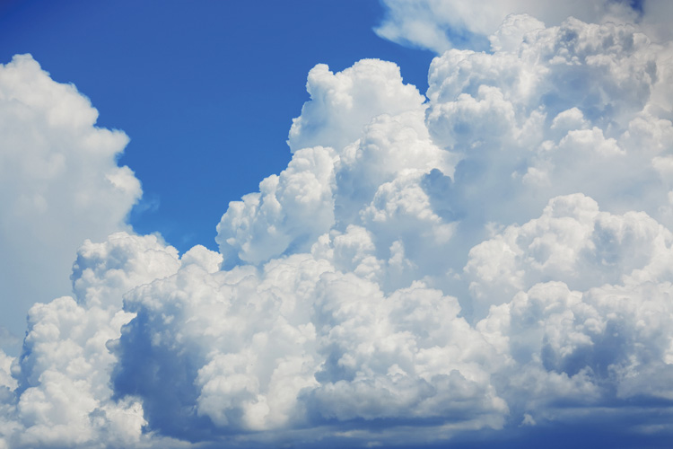 Παραβάν με ψηφιακή εκτύπωση σε βαμβακερό καμβά υψηλής ποιότητας, ειδικό για ψηφιακή εκτύπωση. Ιδανικό για διακόσμηση και σαν διαχωριστικό εσωτερικών χώρων.