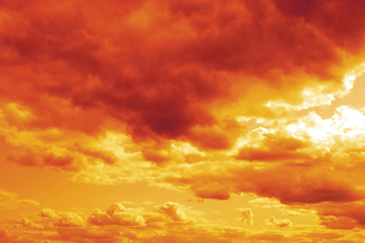 Παραβάν με ψηφιακή εκτύπωση σε βαμβακερό καμβά υψηλής ποιότητας, ειδικό για ψηφιακή εκτύπωση. Ιδανικό για διακόσμηση και σαν διαχωριστικό εσωτερικών χώρων.