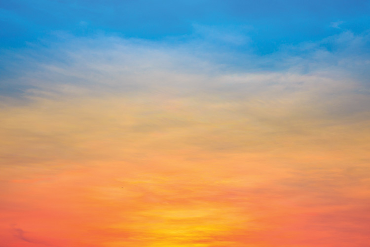 Παραβάν με ψηφιακή εκτύπωση σε βαμβακερό καμβά υψηλής ποιότητας, ειδικό για ψηφιακή εκτύπωση. Ιδανικό για διακόσμηση και σαν διαχωριστικό εσωτερικών χώρων.