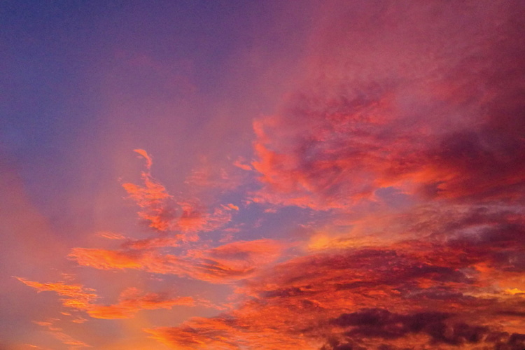 Παραβάν με ψηφιακή εκτύπωση σε βαμβακερό καμβά υψηλής ποιότητας, ειδικό για ψηφιακή εκτύπωση. Ιδανικό για διακόσμηση και σαν διαχωριστικό εσωτερικών χώρων.