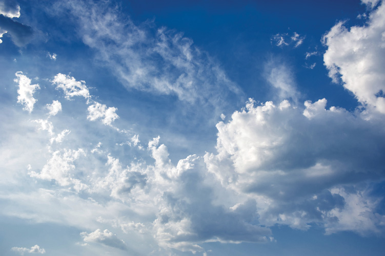 Παραβάν με ψηφιακή εκτύπωση σε βαμβακερό καμβά υψηλής ποιότητας, ειδικό για ψηφιακή εκτύπωση. Ιδανικό για διακόσμηση και σαν διαχωριστικό εσωτερικών χώρων.