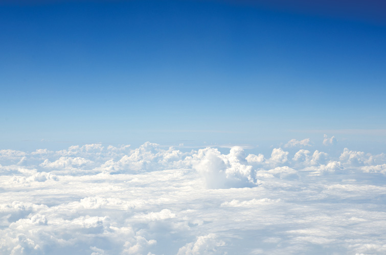 Παραβάν με ψηφιακή εκτύπωση σε βαμβακερό καμβά υψηλής ποιότητας, ειδικό για ψηφιακή εκτύπωση. Ιδανικό για διακόσμηση και σαν διαχωριστικό εσωτερικών χώρων.