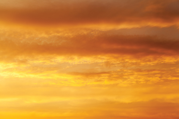 Παραβάν με ψηφιακή εκτύπωση σε βαμβακερό καμβά υψηλής ποιότητας, ειδικό για ψηφιακή εκτύπωση. Ιδανικό για διακόσμηση και σαν διαχωριστικό εσωτερικών χώρων.