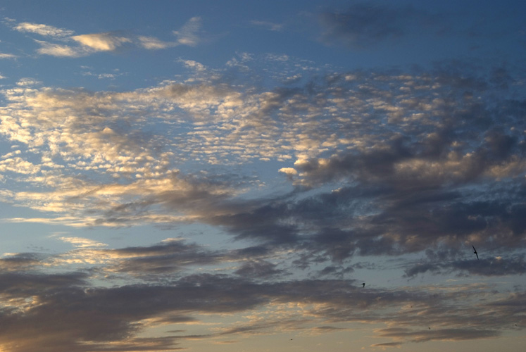 Παραβάν με ψηφιακή εκτύπωση σε βαμβακερό καμβά υψηλής ποιότητας, ειδικό για ψηφιακή εκτύπωση. Ιδανικό για διακόσμηση και σαν διαχωριστικό εσωτερικών χώρων.