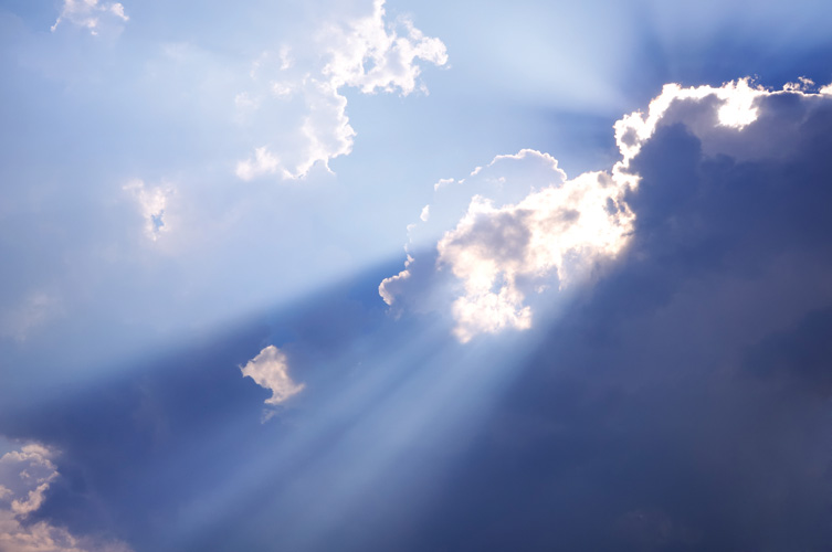 Παραβάν με ψηφιακή εκτύπωση σε βαμβακερό καμβά υψηλής ποιότητας, ειδικό για ψηφιακή εκτύπωση. Ιδανικό για διακόσμηση και σαν διαχωριστικό εσωτερικών χώρων.