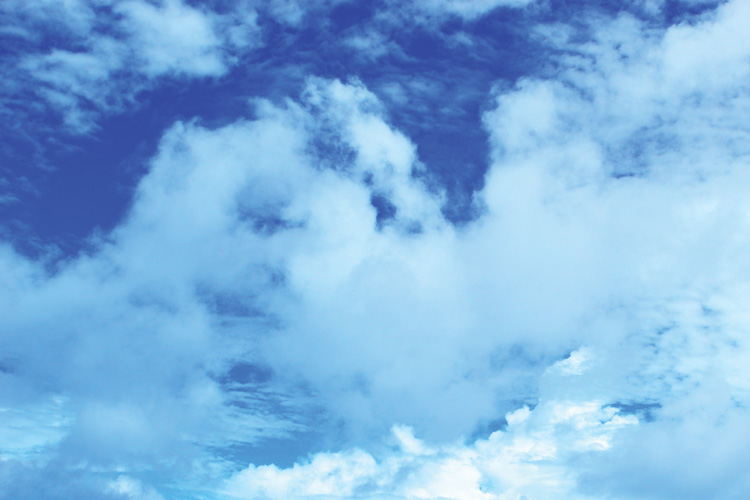 Παραβάν με ψηφιακή εκτύπωση σε βαμβακερό καμβά υψηλής ποιότητας, ειδικό για ψηφιακή εκτύπωση. Ιδανικό για διακόσμηση και σαν διαχωριστικό εσωτερικών χώρων.