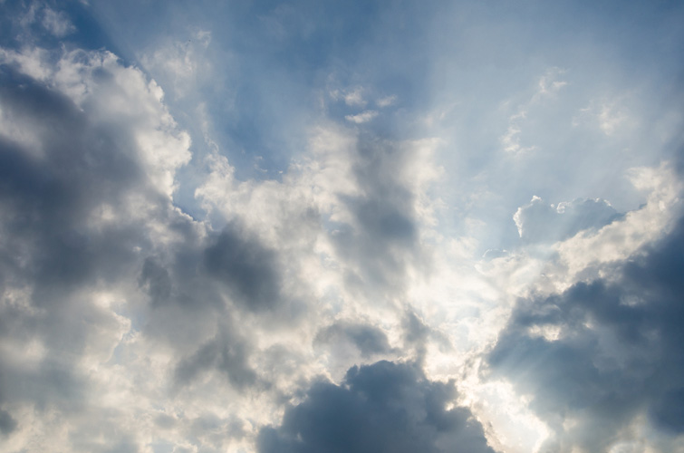 Παραβάν με ψηφιακή εκτύπωση σε βαμβακερό καμβά υψηλής ποιότητας, ειδικό για ψηφιακή εκτύπωση. Ιδανικό για διακόσμηση και σαν διαχωριστικό εσωτερικών χώρων.