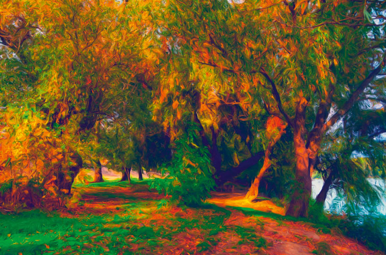 Παραβάν με ψηφιακή εκτύπωση σε βαμβακερό καμβά υψηλής ποιότητας, ειδικό για ψηφιακή εκτύπωση. Ιδανικό για διακόσμηση και σαν διαχωριστικό εσωτερικών χώρων.