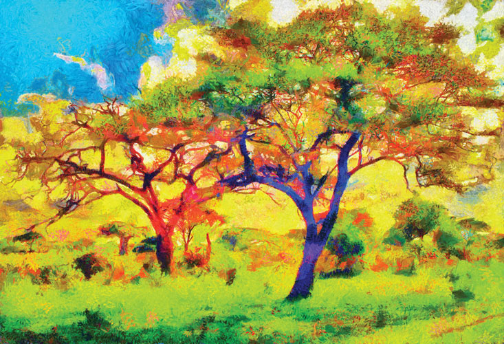 Παραβάν με ψηφιακή εκτύπωση σε βαμβακερό καμβά υψηλής ποιότητας, ειδικό για ψηφιακή εκτύπωση. Ιδανικό για διακόσμηση και σαν διαχωριστικό εσωτερικών χώρων.