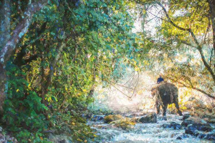 Παραβάν με ψηφιακή εκτύπωση σε βαμβακερό καμβά υψηλής ποιότητας, ειδικό για ψηφιακή εκτύπωση. Ιδανικό για διακόσμηση και σαν διαχωριστικό εσωτερικών χώρων.