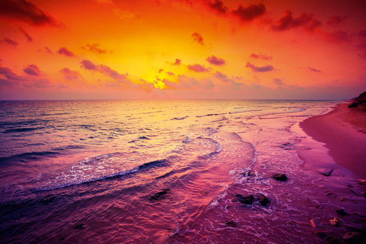 Παραβάν με ψηφιακή εκτύπωση σε βαμβακερό καμβά υψηλής ποιότητας, ειδικό για ψηφιακή εκτύπωση. Ιδανικό για διακόσμηση και σαν διαχωριστικό εσωτερικών χώρων.