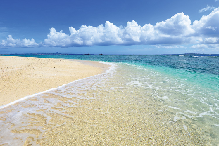 Παραβάν με ψηφιακή εκτύπωση σε βαμβακερό καμβά υψηλής ποιότητας, ειδικό για ψηφιακή εκτύπωση. Ιδανικό για διακόσμηση και σαν διαχωριστικό εσωτερικών χώρων.