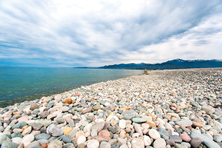 Παραβάν με ψηφιακή εκτύπωση σε βαμβακερό καμβά υψηλής ποιότητας, ειδικό για ψηφιακή εκτύπωση. Ιδανικό για διακόσμηση και σαν διαχωριστικό εσωτερικών χώρων.