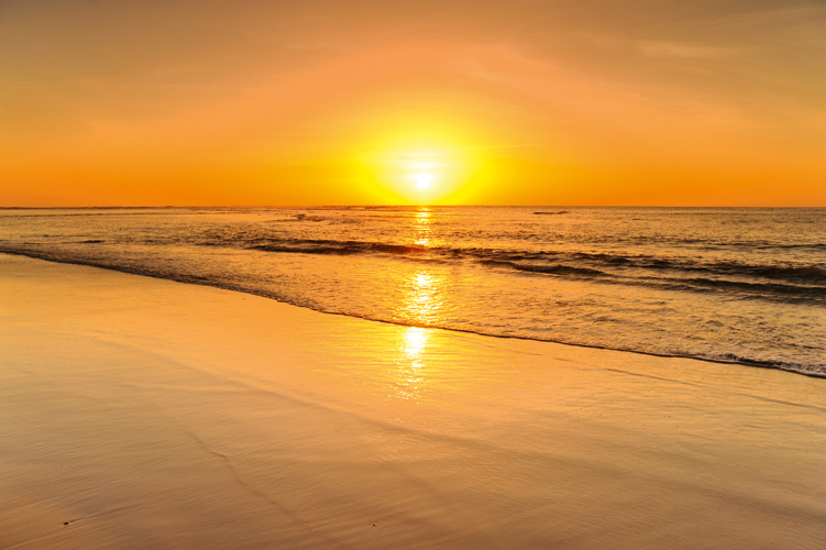 Παραβάν με ψηφιακή εκτύπωση σε βαμβακερό καμβά υψηλής ποιότητας, ειδικό για ψηφιακή εκτύπωση. Ιδανικό για διακόσμηση και σαν διαχωριστικό εσωτερικών χώρων.