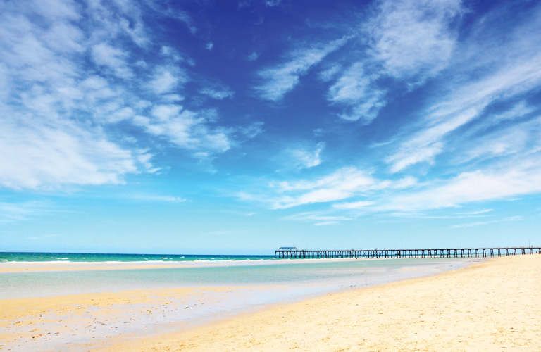 Παραβάν με ψηφιακή εκτύπωση σε βαμβακερό καμβά υψηλής ποιότητας, ειδικό για ψηφιακή εκτύπωση. Ιδανικό για διακόσμηση και σαν διαχωριστικό εσωτερικών χώρων.