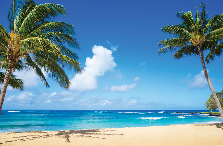 Παραβάν με ψηφιακή εκτύπωση σε βαμβακερό καμβά υψηλής ποιότητας, ειδικό για ψηφιακή εκτύπωση. Ιδανικό για διακόσμηση και σαν διαχωριστικό εσωτερικών χώρων.