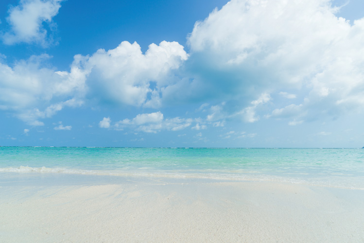 Παραβάν με ψηφιακή εκτύπωση σε βαμβακερό καμβά υψηλής ποιότητας, ειδικό για ψηφιακή εκτύπωση. Ιδανικό για διακόσμηση και σαν διαχωριστικό εσωτερικών χώρων.