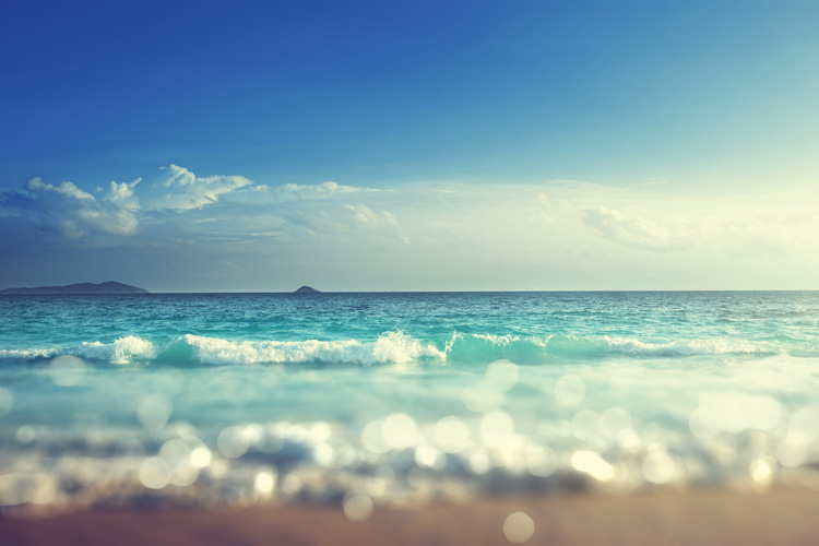 Παραβάν με ψηφιακή εκτύπωση σε βαμβακερό καμβά υψηλής ποιότητας, ειδικό για ψηφιακή εκτύπωση. Ιδανικό για διακόσμηση και σαν διαχωριστικό εσωτερικών χώρων.