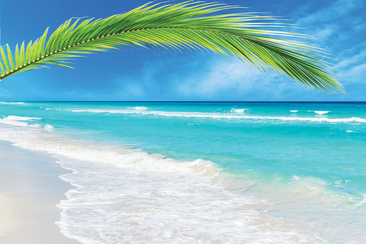 Παραβάν με ψηφιακή εκτύπωση σε βαμβακερό καμβά υψηλής ποιότητας, ειδικό για ψηφιακή εκτύπωση. Ιδανικό για διακόσμηση και σαν διαχωριστικό εσωτερικών χώρων.