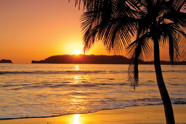 Παραβάν με ψηφιακή εκτύπωση σε βαμβακερό καμβά υψηλής ποιότητας, ειδικό για ψηφιακή εκτύπωση. Ιδανικό για διακόσμηση και σαν διαχωριστικό εσωτερικών χώρων.