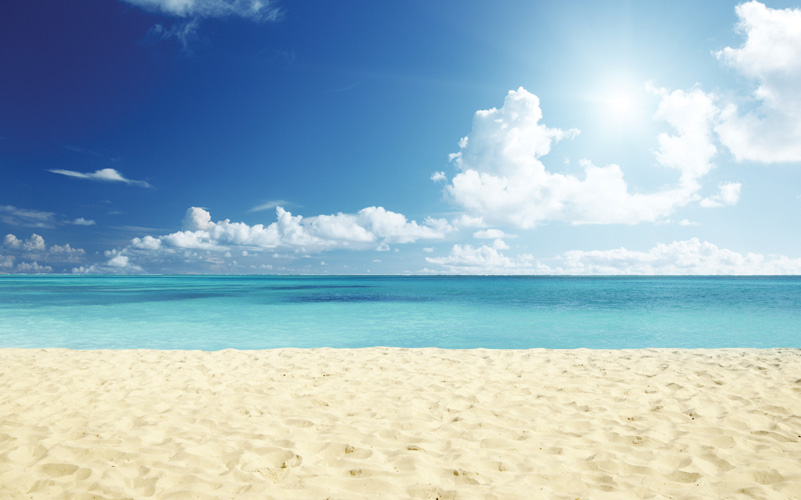 Παραβάν με ψηφιακή εκτύπωση σε βαμβακερό καμβά υψηλής ποιότητας, ειδικό για ψηφιακή εκτύπωση. Ιδανικό για διακόσμηση και σαν διαχωριστικό εσωτερικών χώρων.