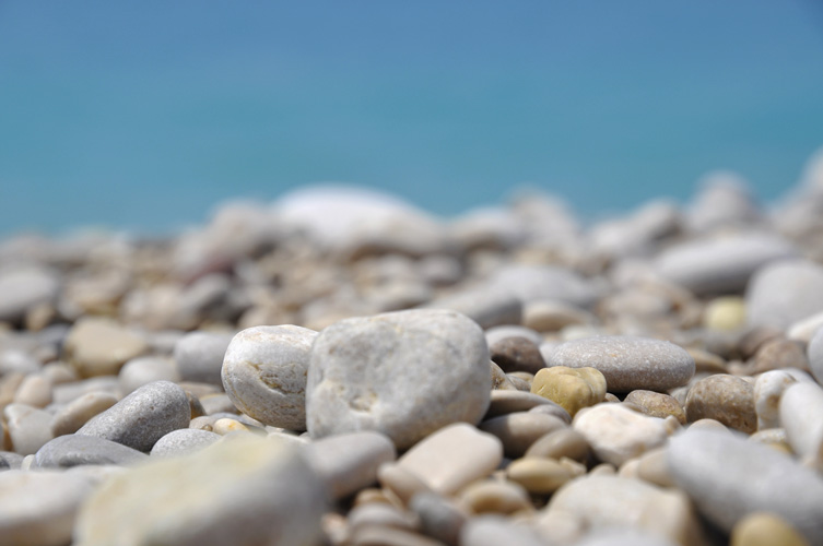 Παραβάν με ψηφιακή εκτύπωση σε βαμβακερό καμβά υψηλής ποιότητας, ειδικό για ψηφιακή εκτύπωση. Ιδανικό για διακόσμηση και σαν διαχωριστικό εσωτερικών χώρων.