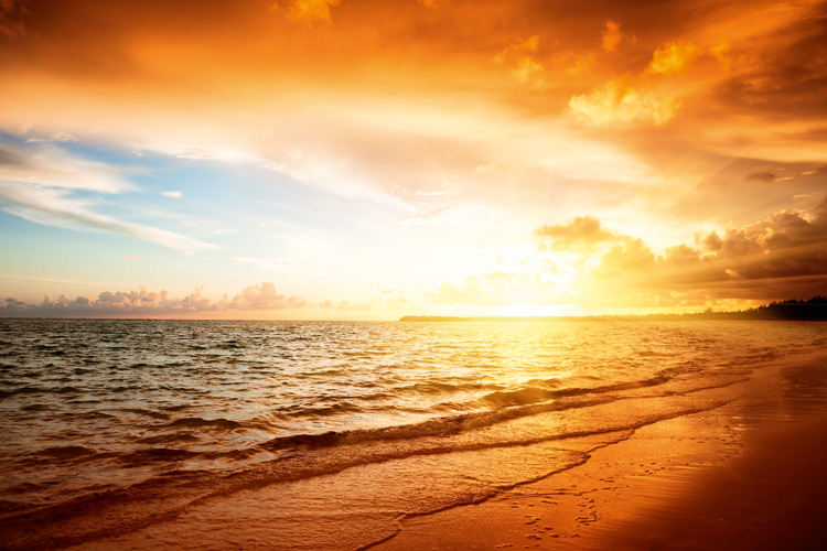 Παραβάν με ψηφιακή εκτύπωση σε βαμβακερό καμβά υψηλής ποιότητας, ειδικό για ψηφιακή εκτύπωση. Ιδανικό για διακόσμηση και σαν διαχωριστικό εσωτερικών χώρων.