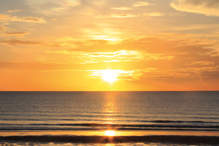 Παραβάν με ψηφιακή εκτύπωση σε βαμβακερό καμβά υψηλής ποιότητας, ειδικό για ψηφιακή εκτύπωση. Ιδανικό για διακόσμηση και σαν διαχωριστικό εσωτερικών χώρων.