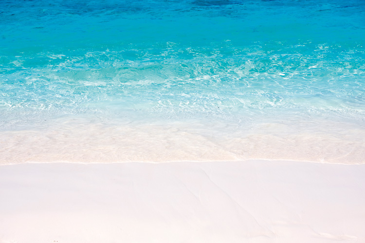 Παραβάν με ψηφιακή εκτύπωση σε βαμβακερό καμβά υψηλής ποιότητας, ειδικό για ψηφιακή εκτύπωση. Ιδανικό για διακόσμηση και σαν διαχωριστικό εσωτερικών χώρων.