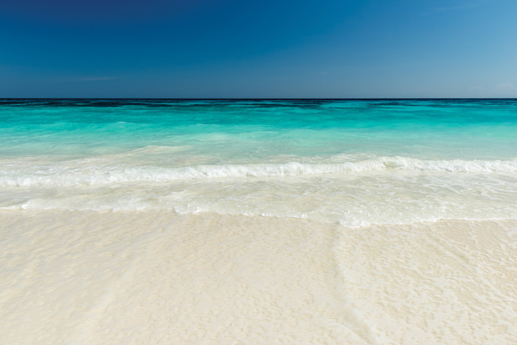 Παραβάν με ψηφιακή εκτύπωση σε βαμβακερό καμβά υψηλής ποιότητας, ειδικό για ψηφιακή εκτύπωση. Ιδανικό για διακόσμηση και σαν διαχωριστικό εσωτερικών χώρων.