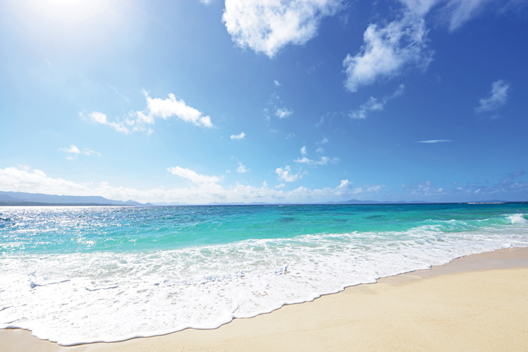 Παραβάν με ψηφιακή εκτύπωση σε βαμβακερό καμβά υψηλής ποιότητας, ειδικό για ψηφιακή εκτύπωση. Ιδανικό για διακόσμηση και σαν διαχωριστικό εσωτερικών χώρων.