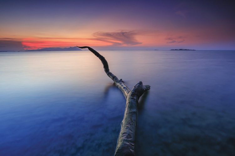 Παραβάν με ψηφιακή εκτύπωση σε βαμβακερό καμβά υψηλής ποιότητας, ειδικό για ψηφιακή εκτύπωση. Ιδανικό για διακόσμηση και σαν διαχωριστικό εσωτερικών χώρων.